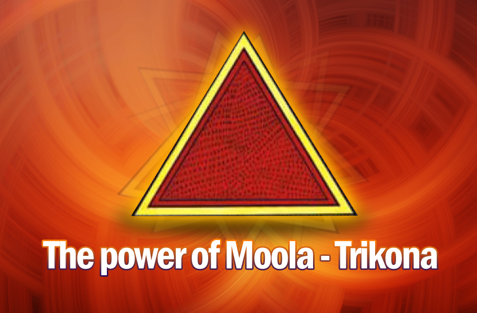 Read more about the article Planets & their Mool Trikon